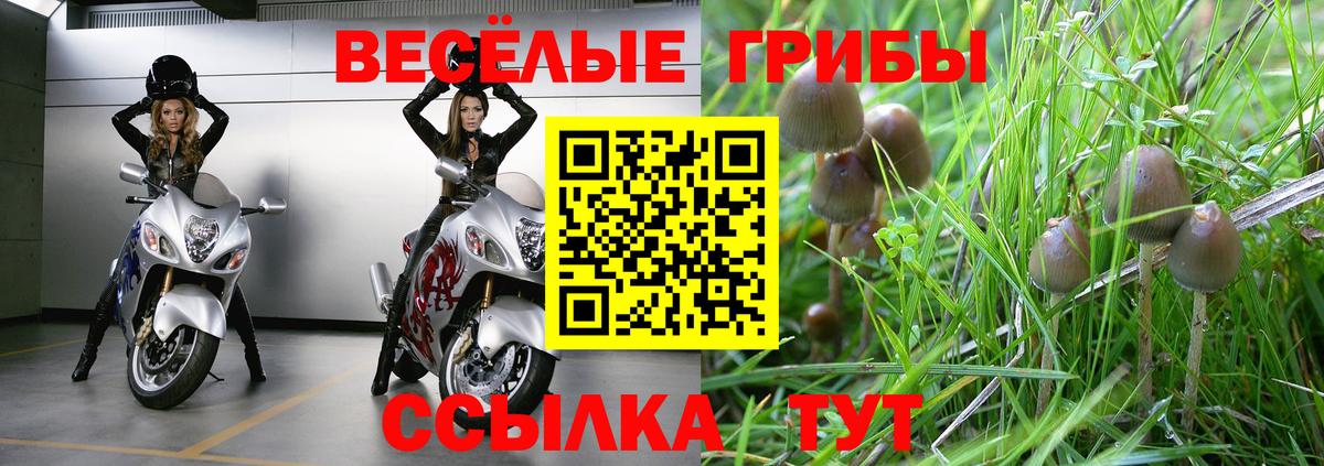 Ростов Великий  Псилоцибиновые грибы Magic Shrooms  Вход с VPN 